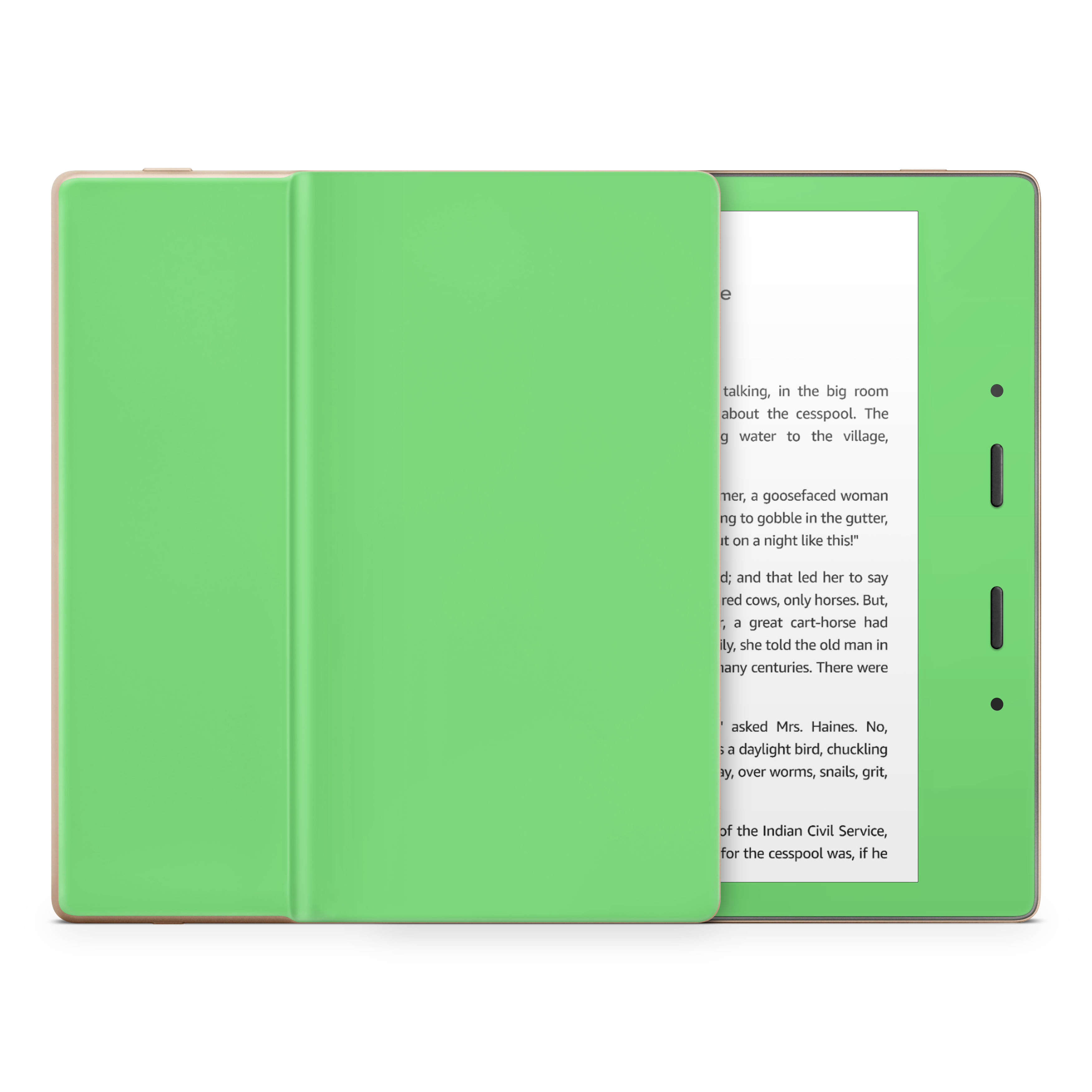 Pastel Green Kindle eReader Skin