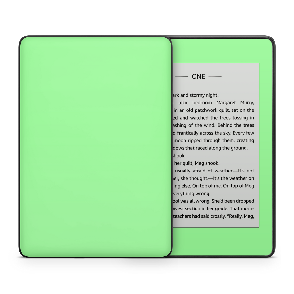 Green Ereader Mint Green Kindle eReader Skin – CUCU Covers