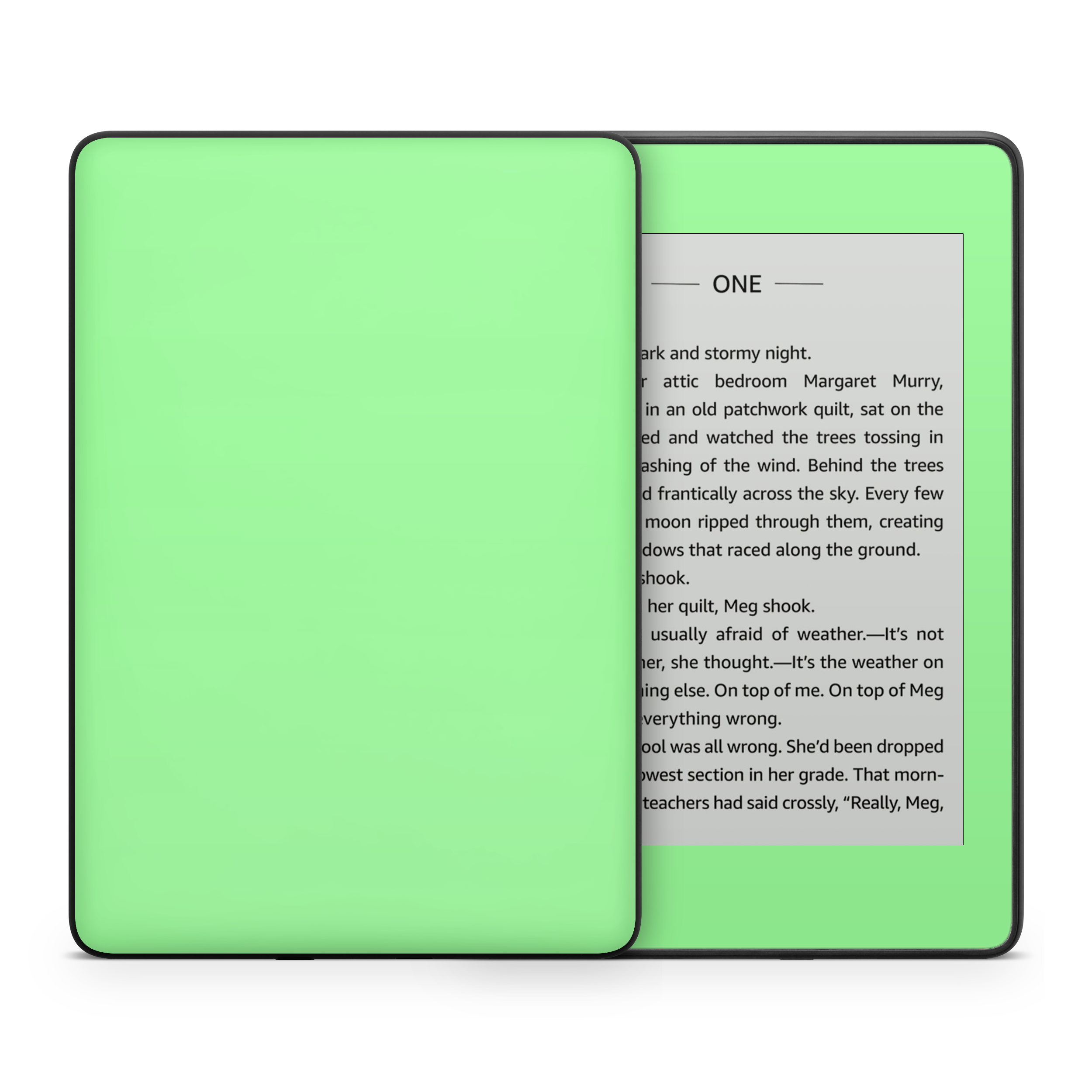 Mint Green Kindle eReader Skin