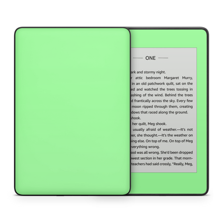 Mint Green Kindle eReader Skin