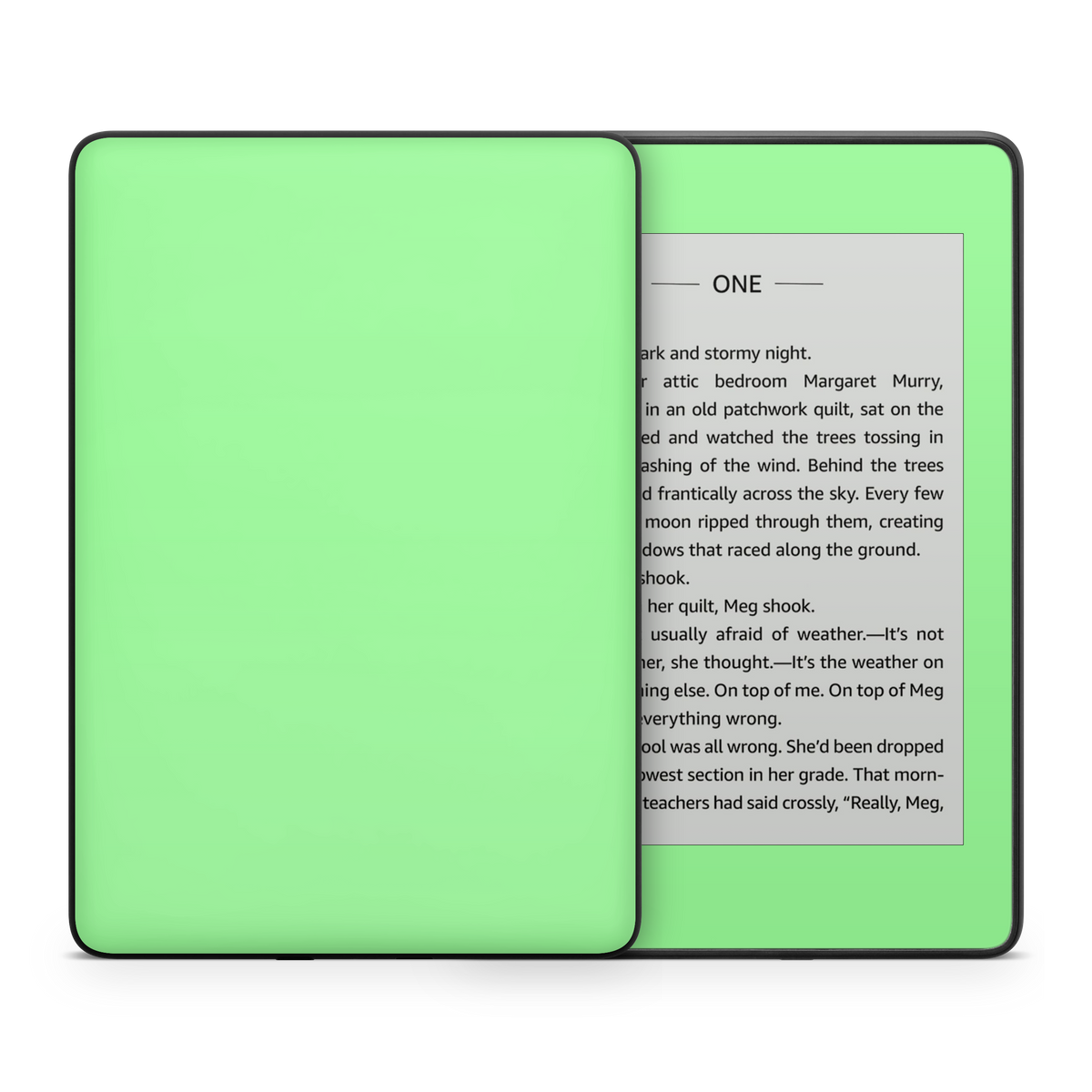 Mint Green Kindle eReader Skin