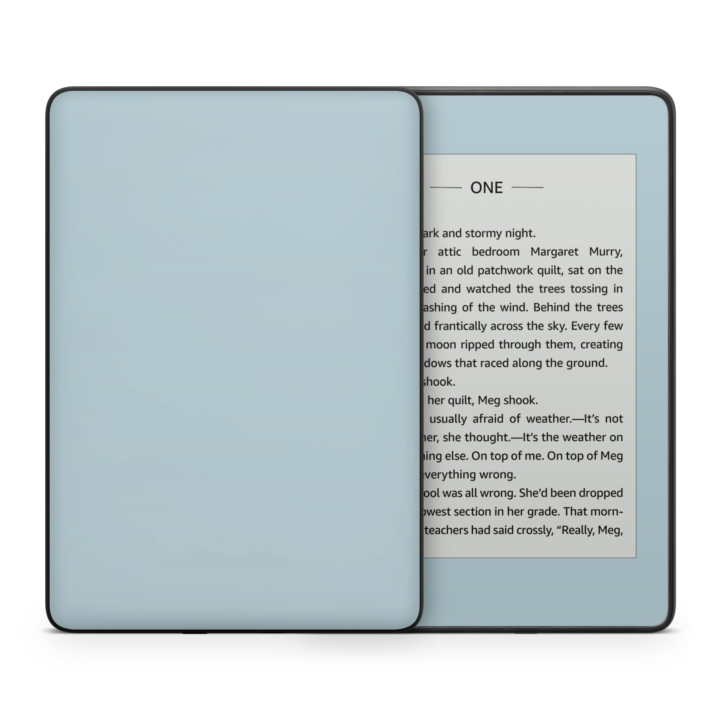 Baby Blue Kindle eReader Skin