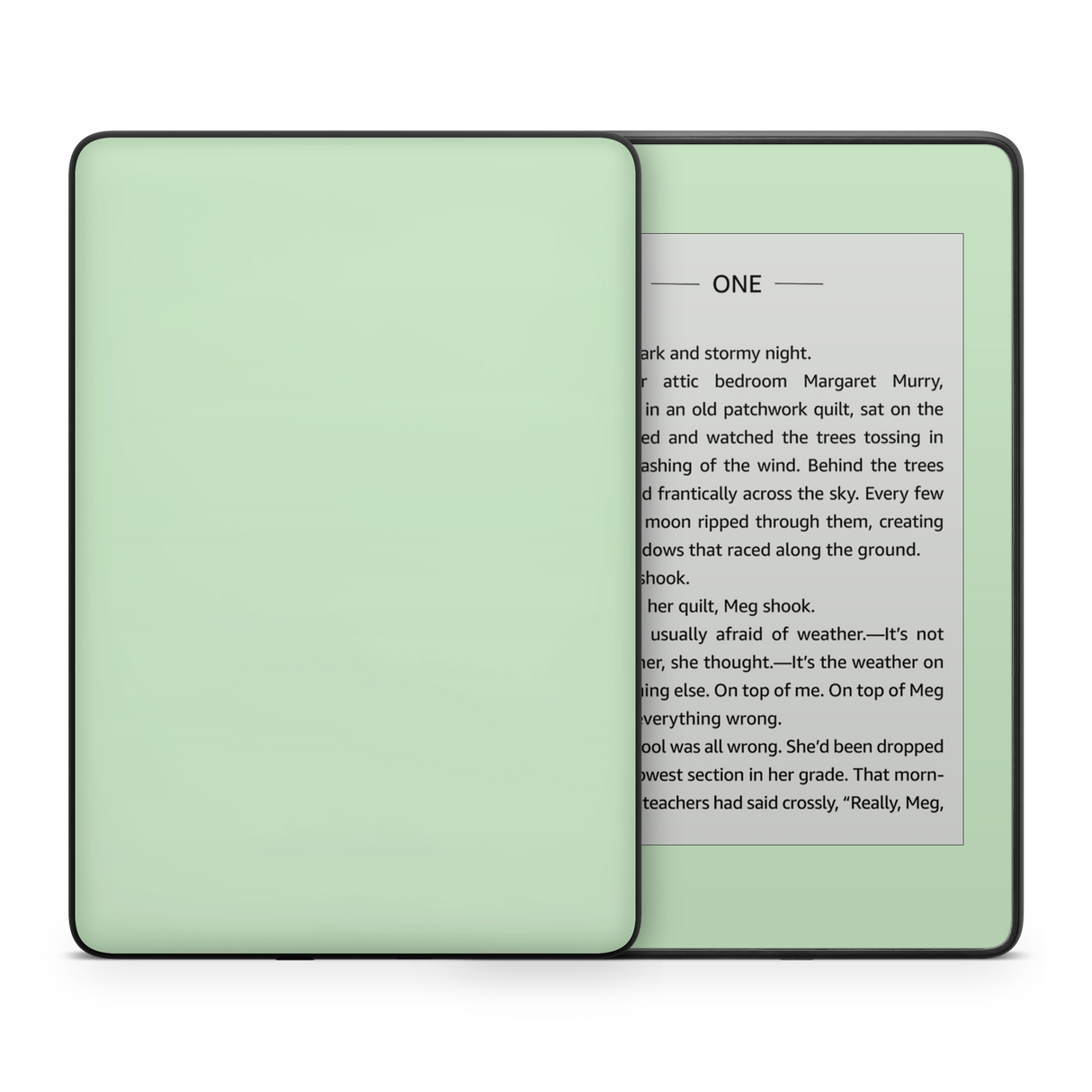 Pale Mint Kindle eReader Skin