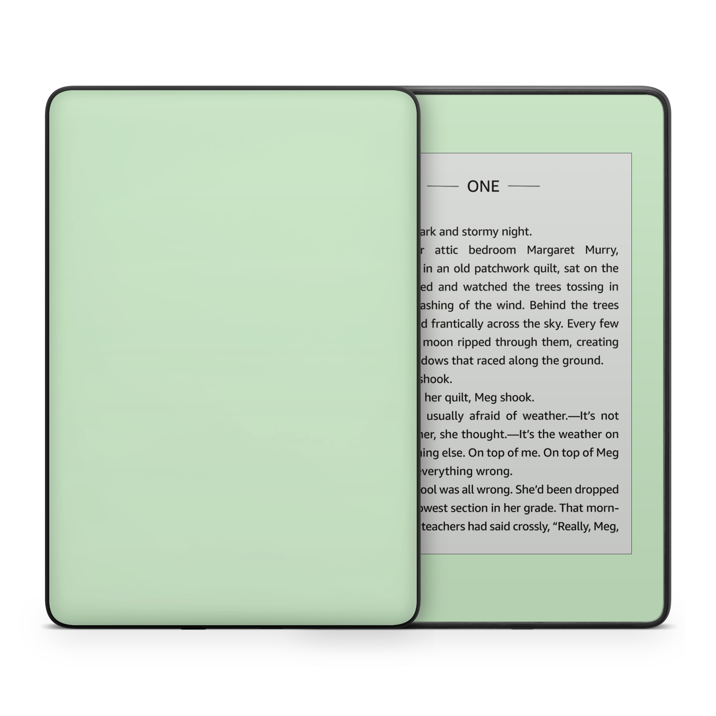 Pale Mint Kindle eReader Skin