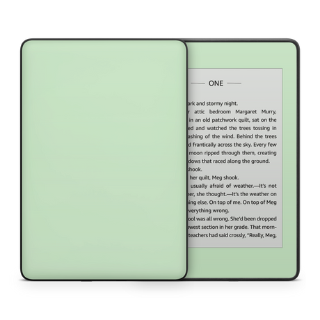 Pale Mint Kindle eReader Skin