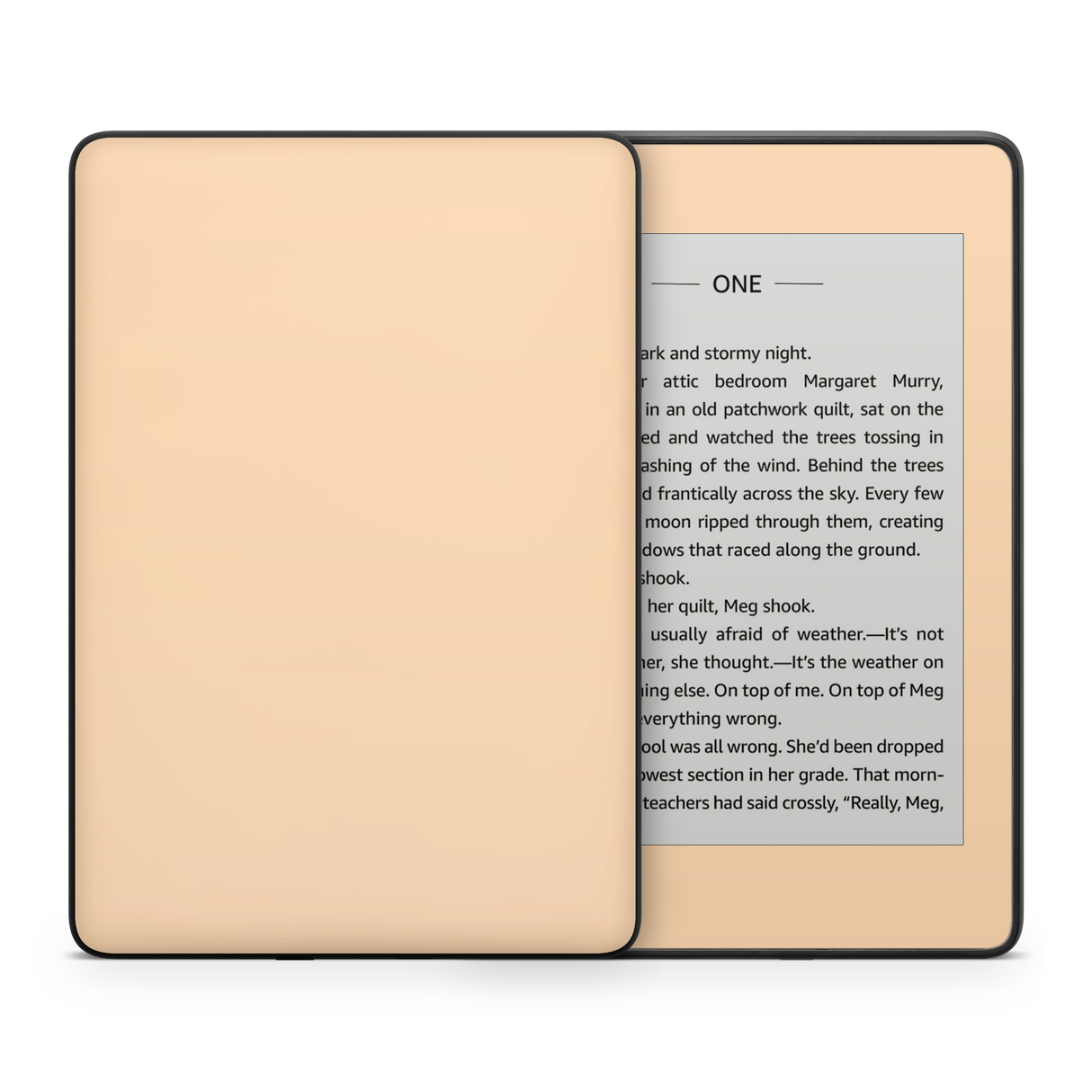 Pale Peach Kindle eReader Skin