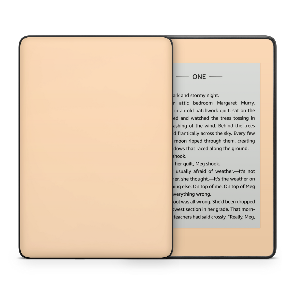 Pale Peach Kindle eReader Skin
