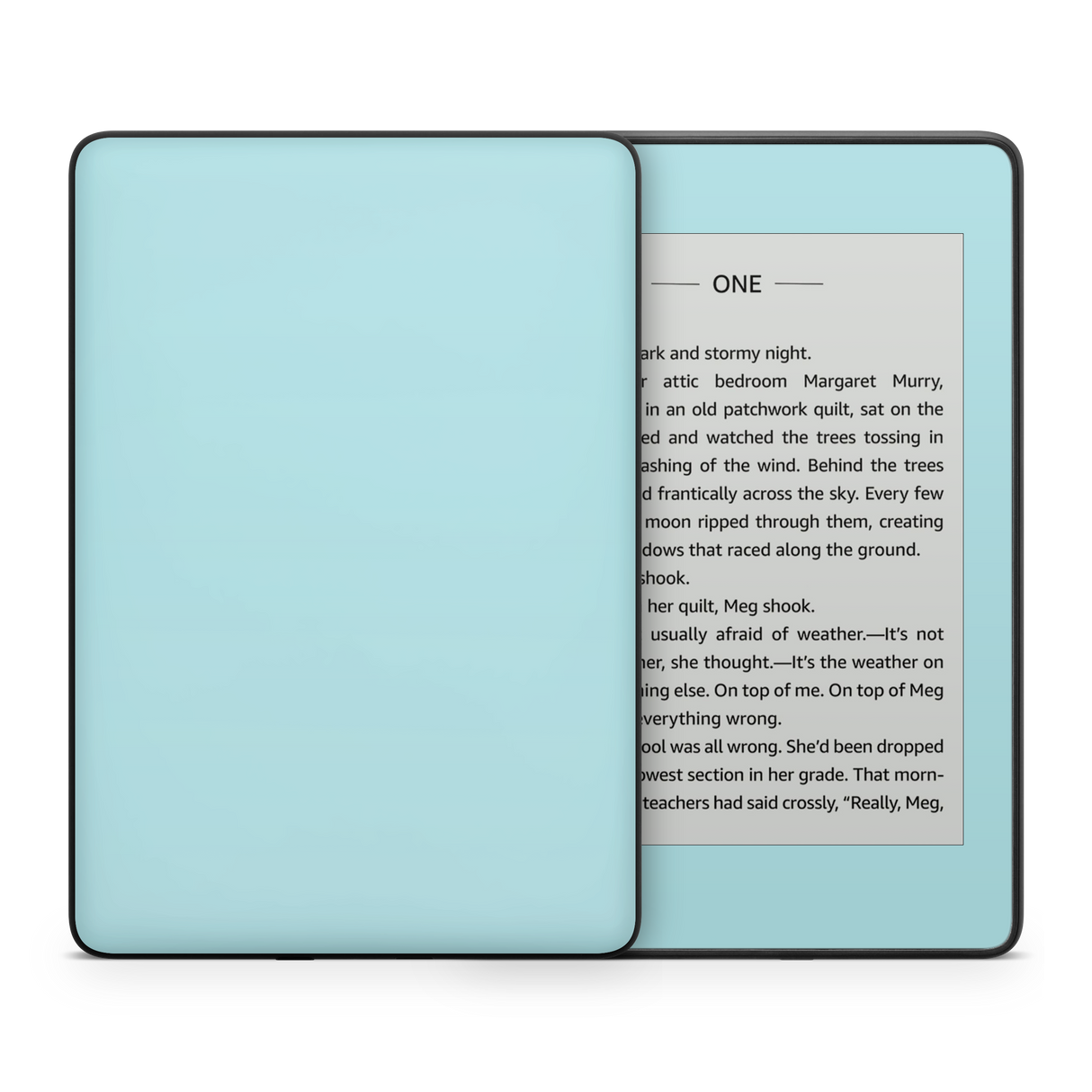 Powder Blue Kindle eReader Skin