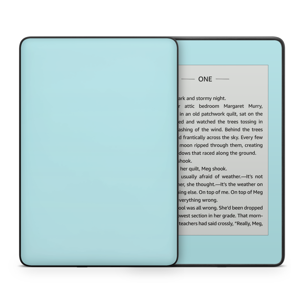 Powder Blue Kindle eReader Skin