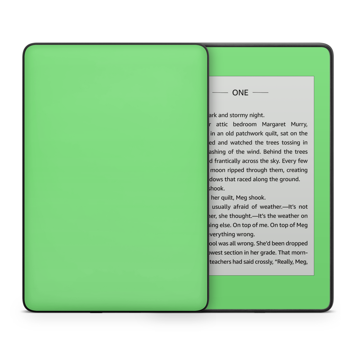 Pastel Green Kindle eReader Skin