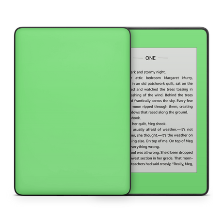 Pastel Green Kindle eReader Skin