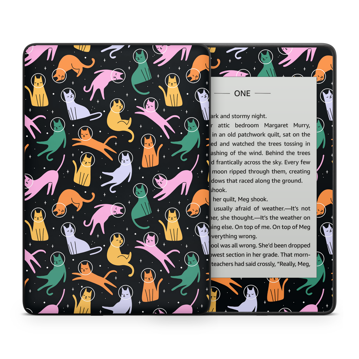 Cats Space Kindle Skin