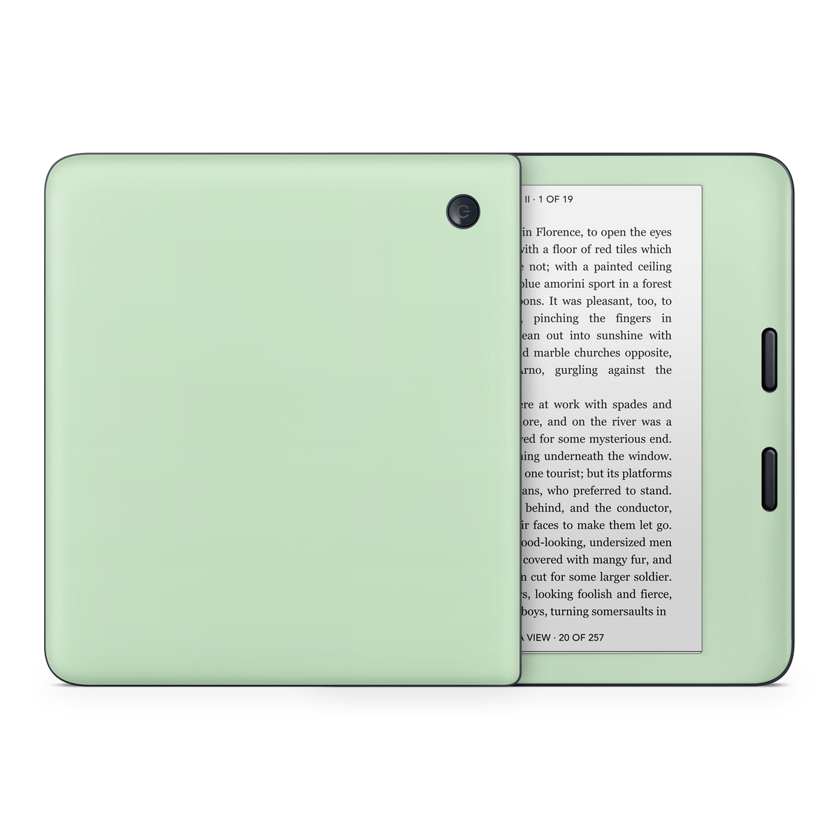 Pale Mint Kobo eReader Skin