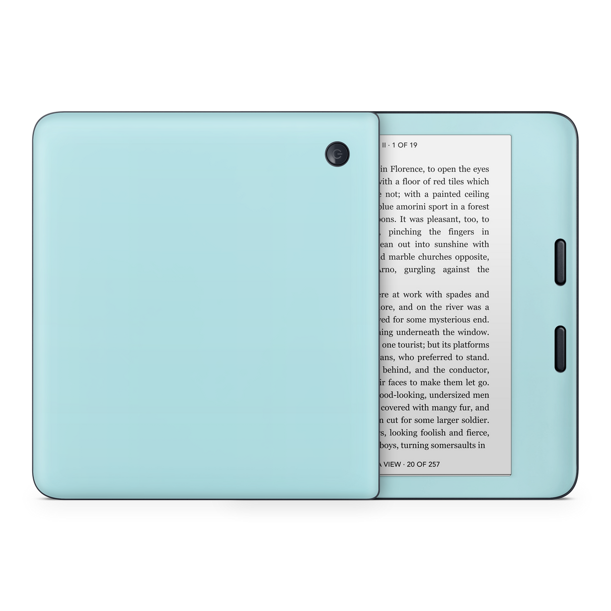 Powder Blue Kobo eReader Skin