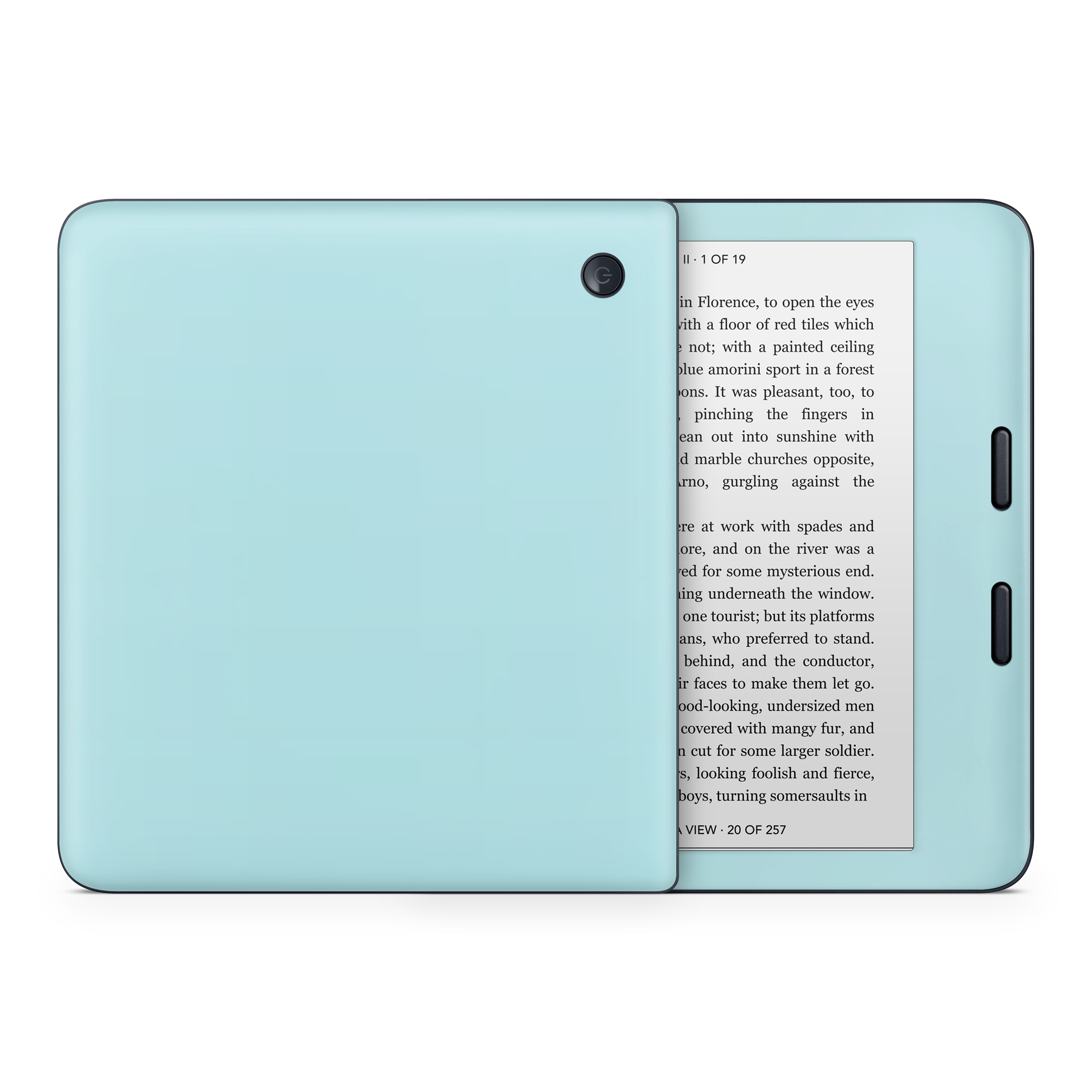 Powder Blue Kobo eReader Skin