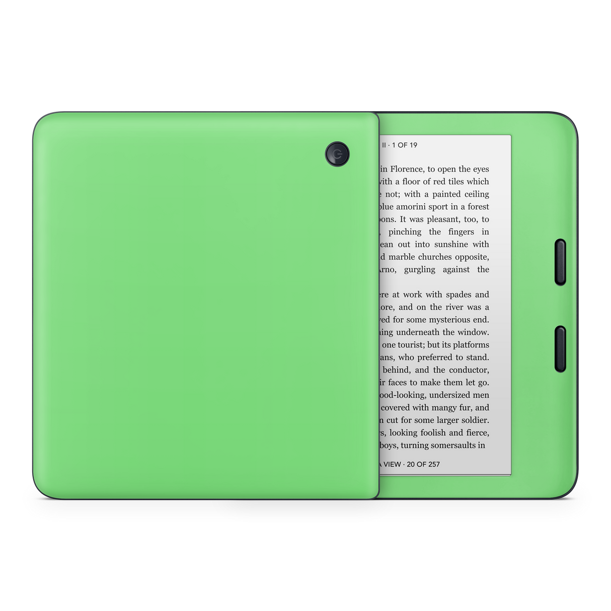 Pastel Green Kobo eReader Skin