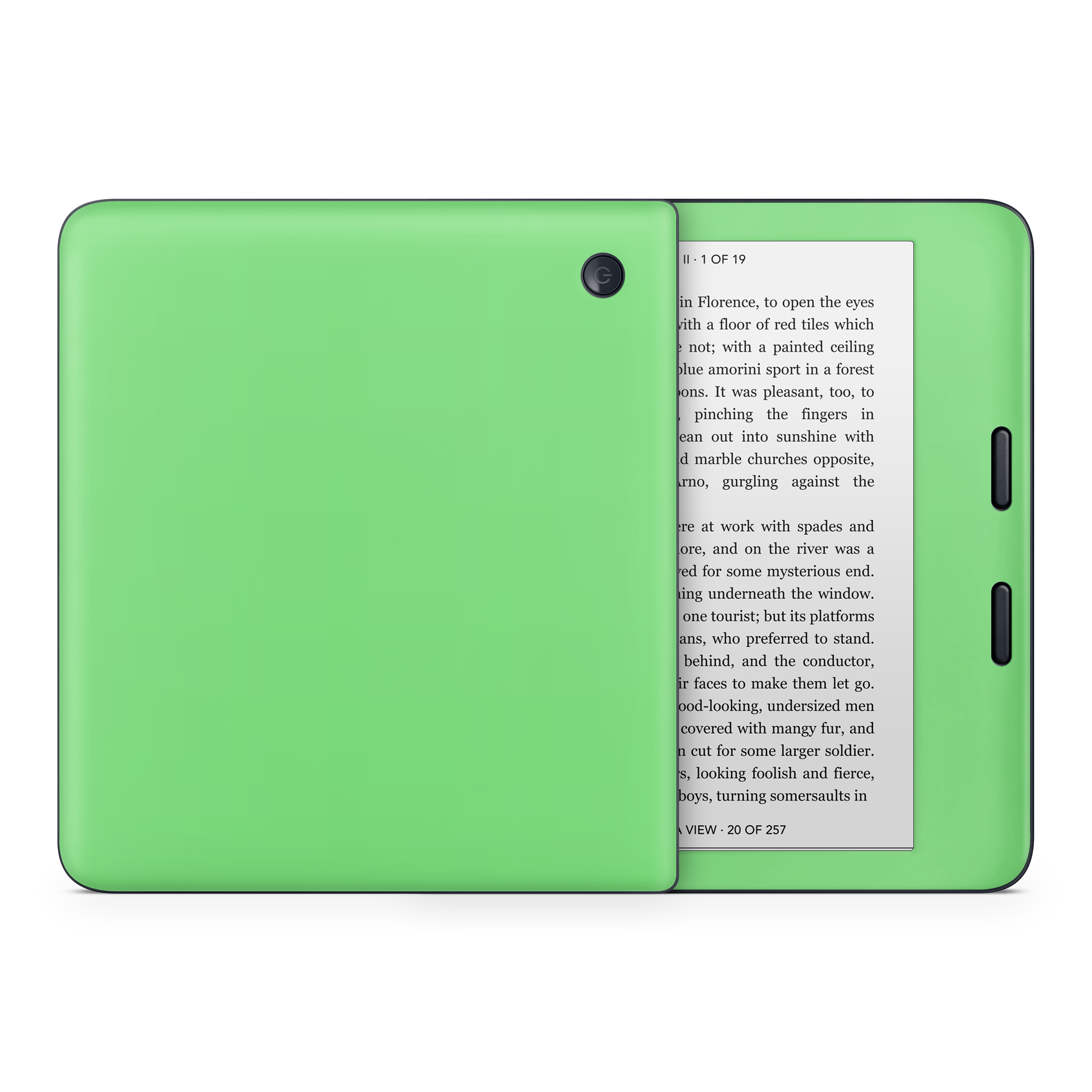 Pastel Green Kobo eReader Skin