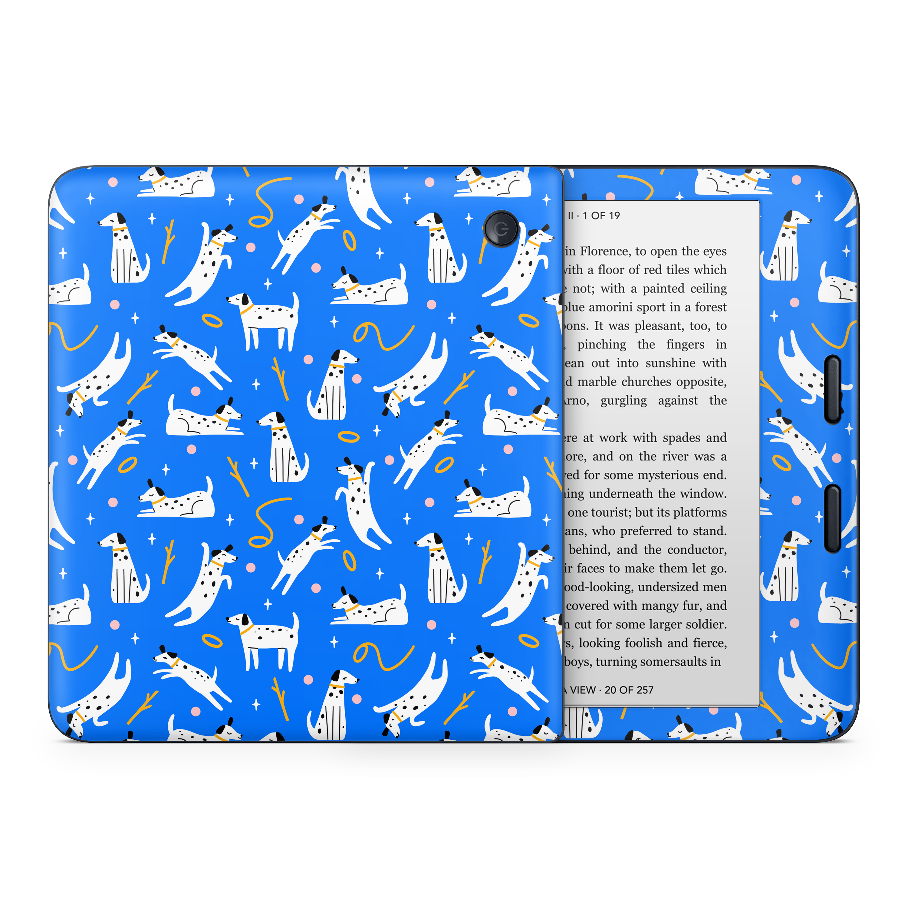 Cobalt Dog Kobo Skin