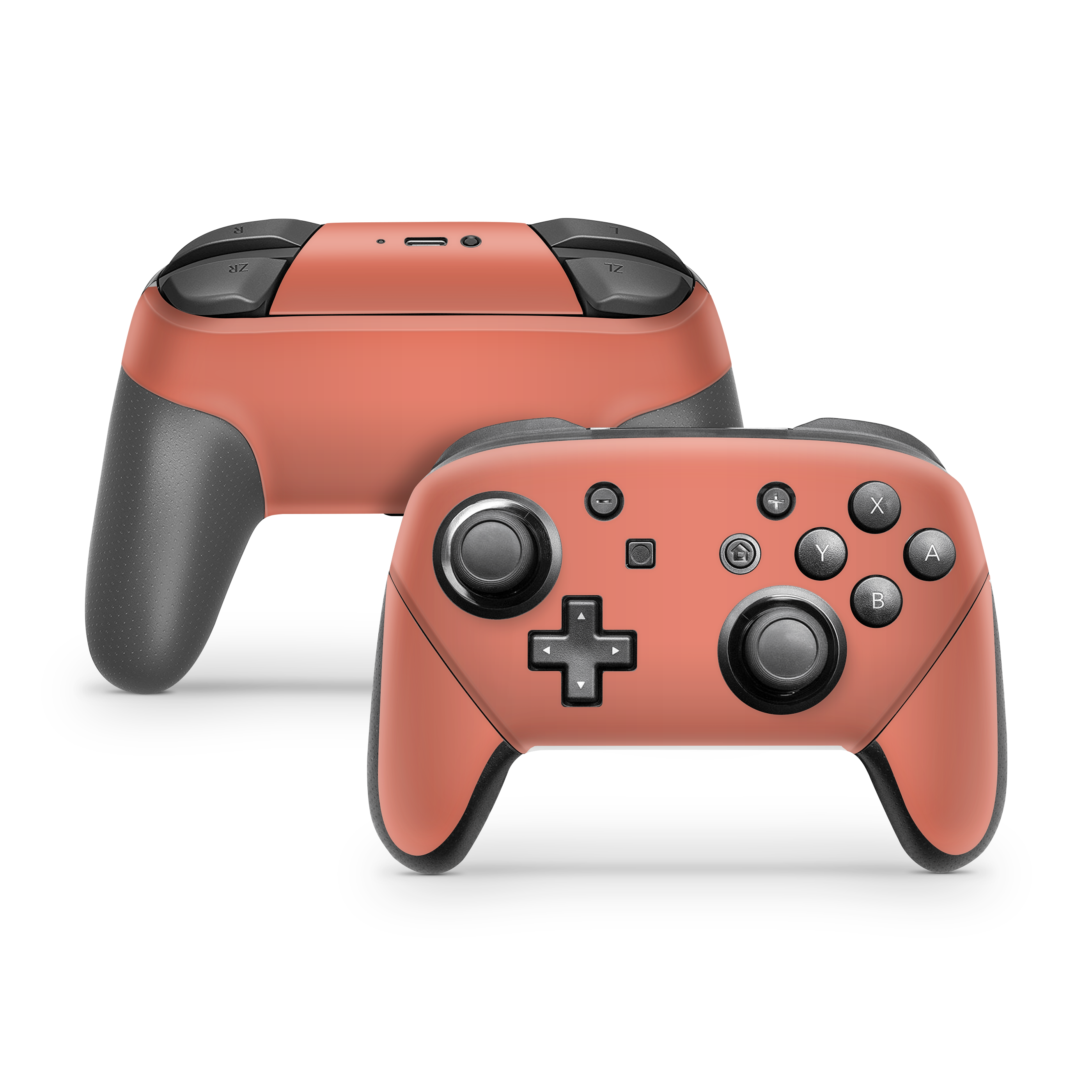 Nintendo Switch Controller Skin Terracotta