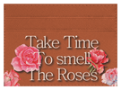 Take Time To Smell The roses