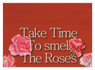 Take Time To Smell The roses