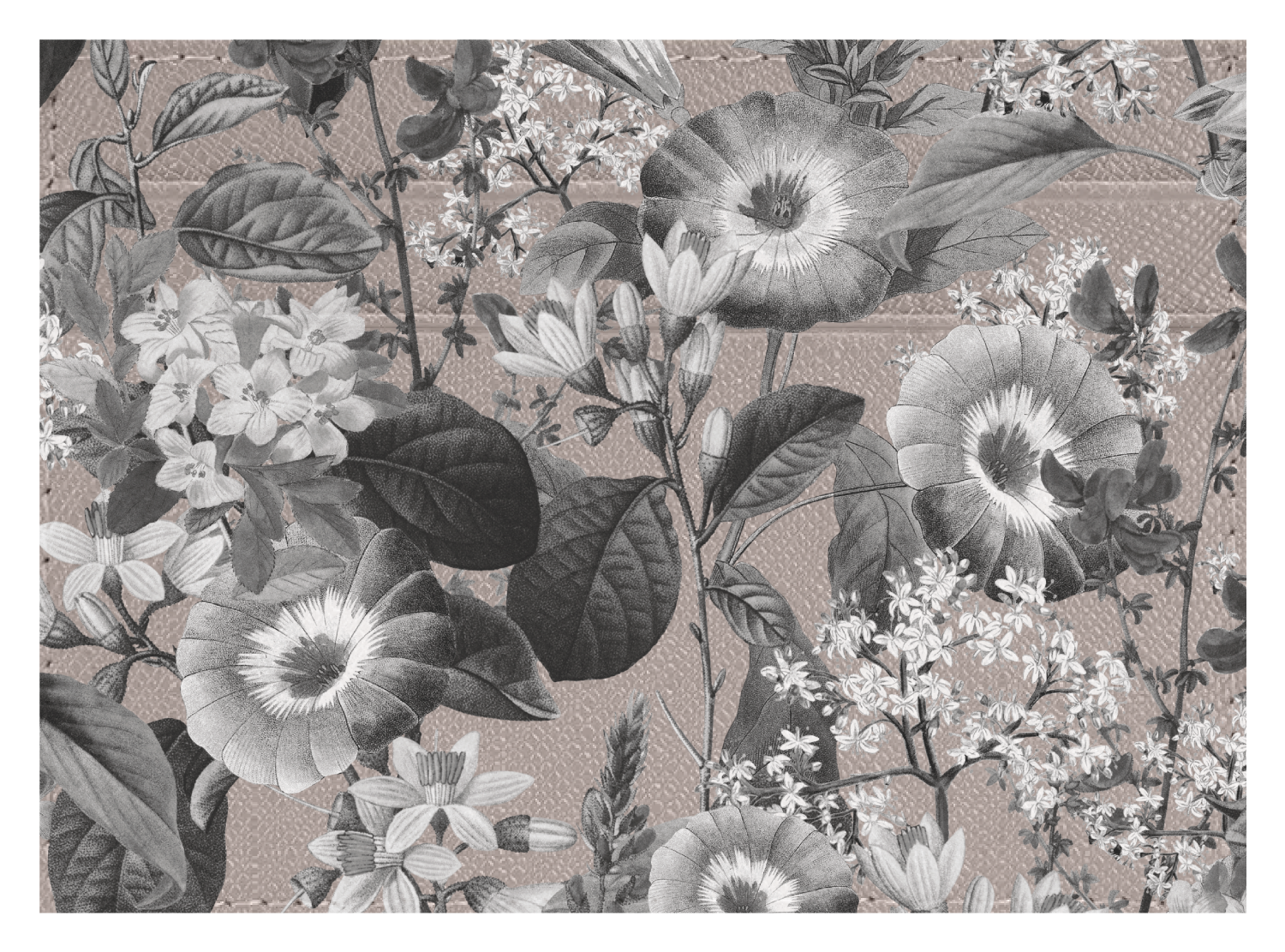 Black and White Floral