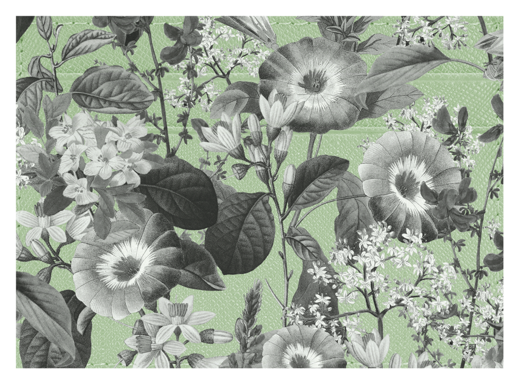 Black and White Floral