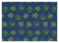 Mary Jane