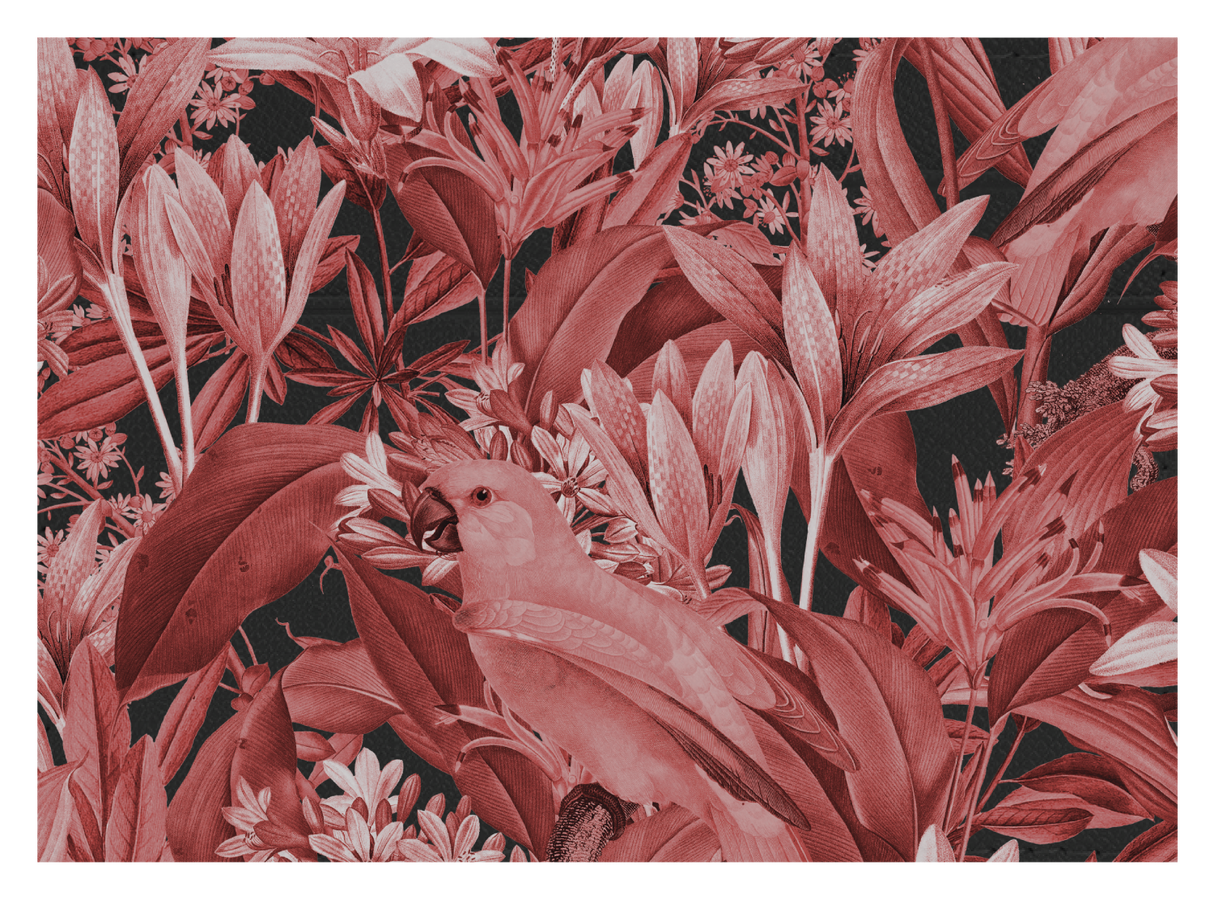 Red Parrot Floral