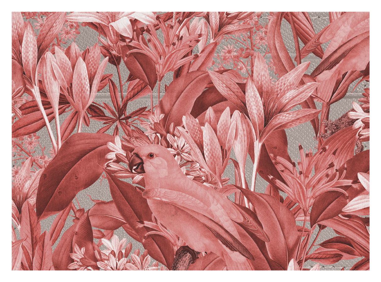 Red Parrot Floral