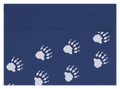 Bear Paws