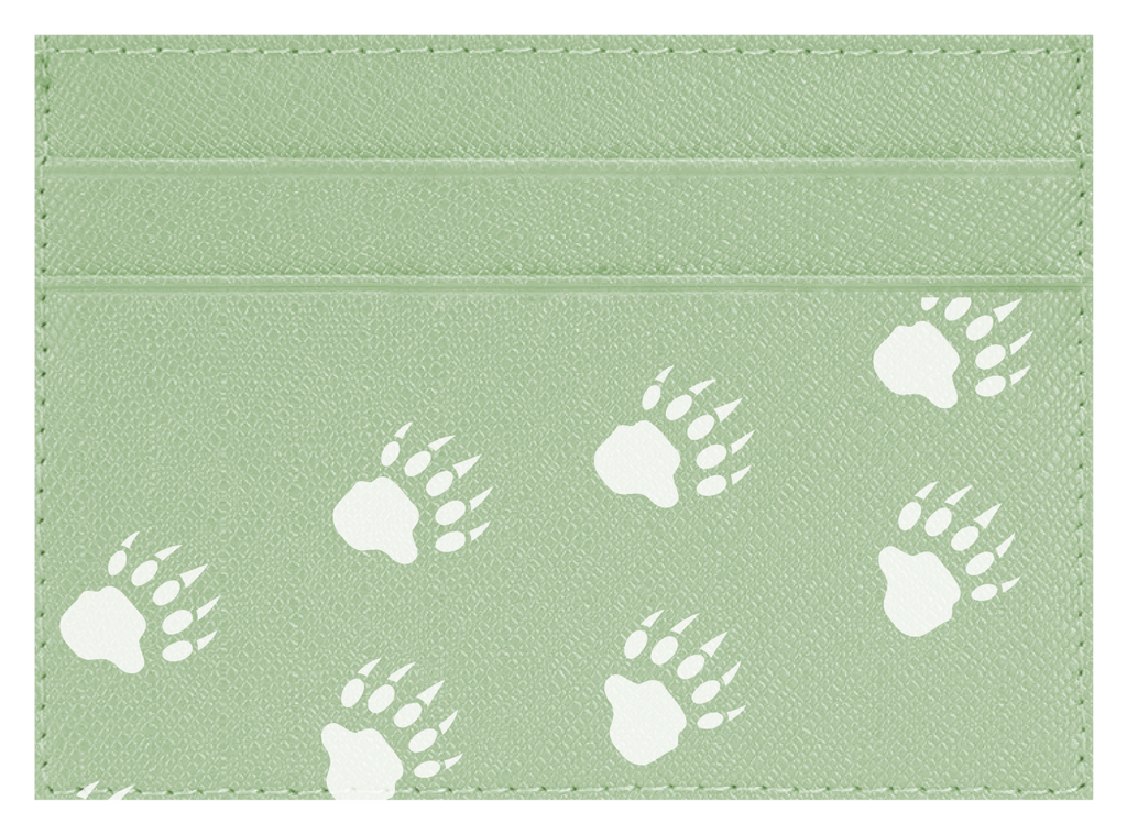 Bear Paws