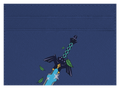 Master Sword