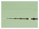 Elder Wand