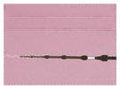 Elder Wand