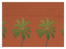 Palm Trees