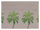 Palm Trees