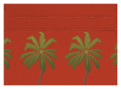 Palm Trees