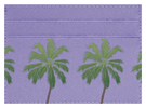 Palm Trees