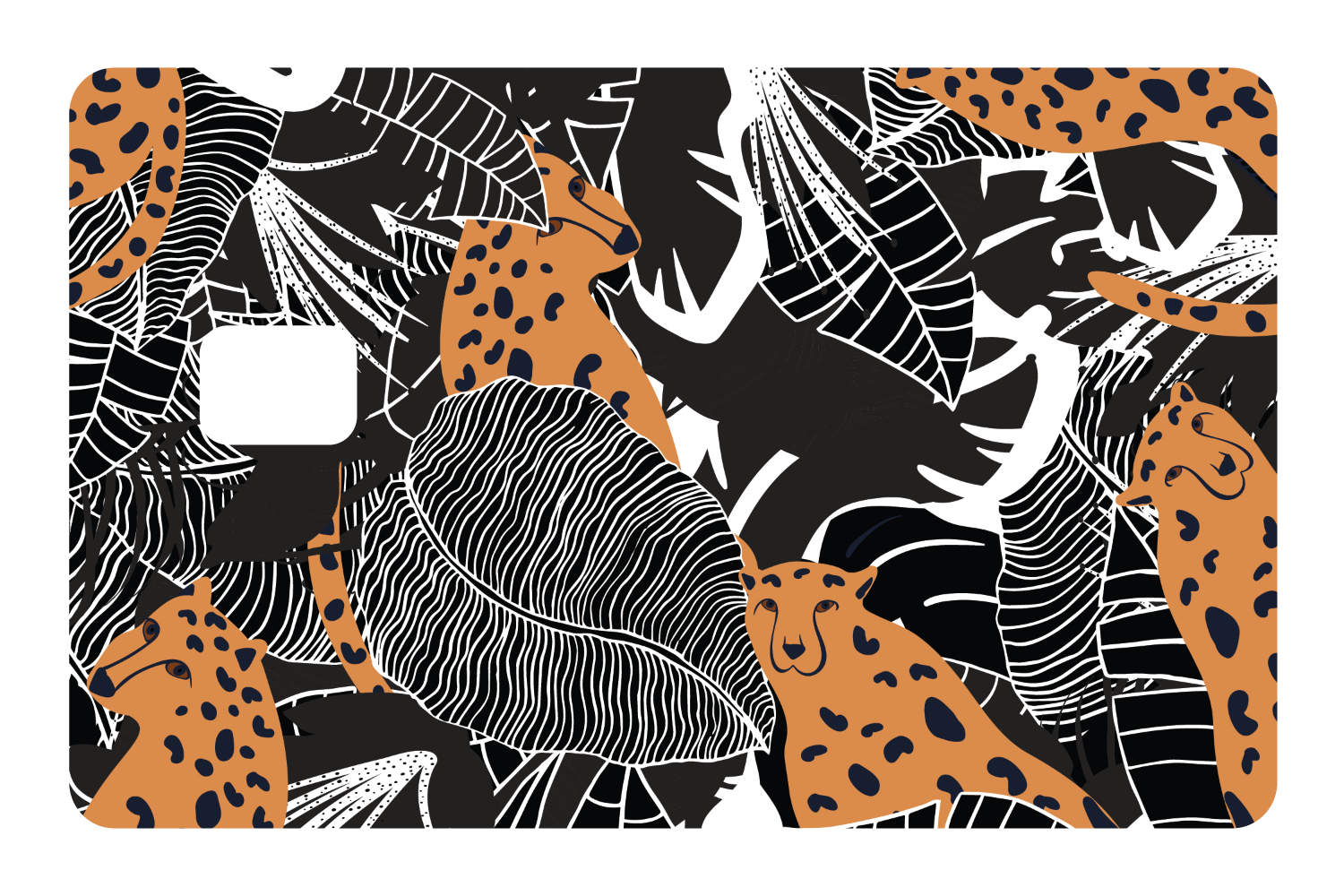Leopard