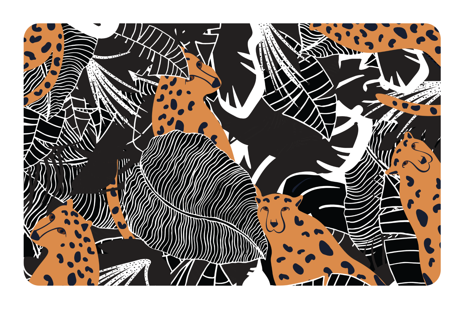 Leopard