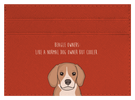 Beagle Owner