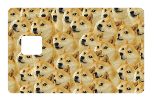 Doge