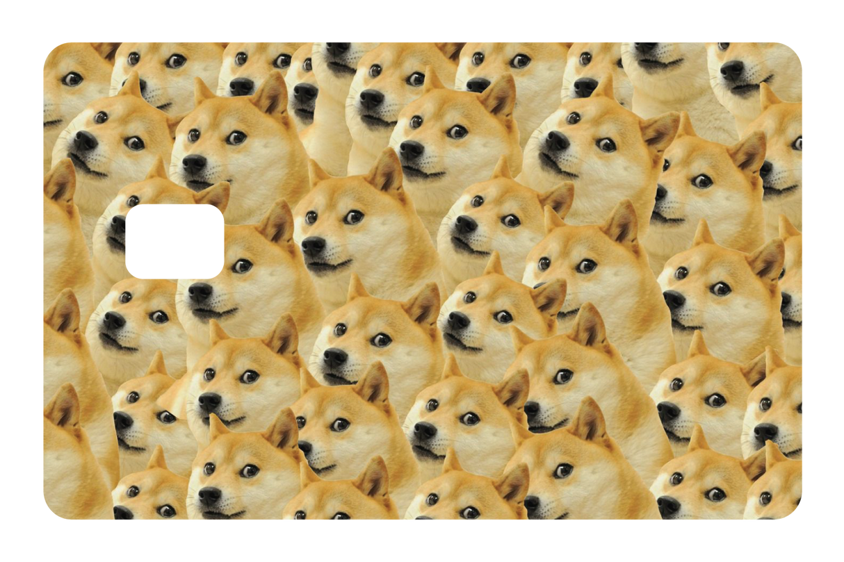 Doge