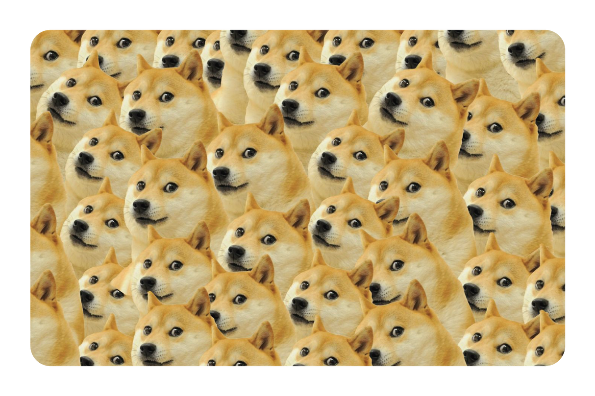 Doge