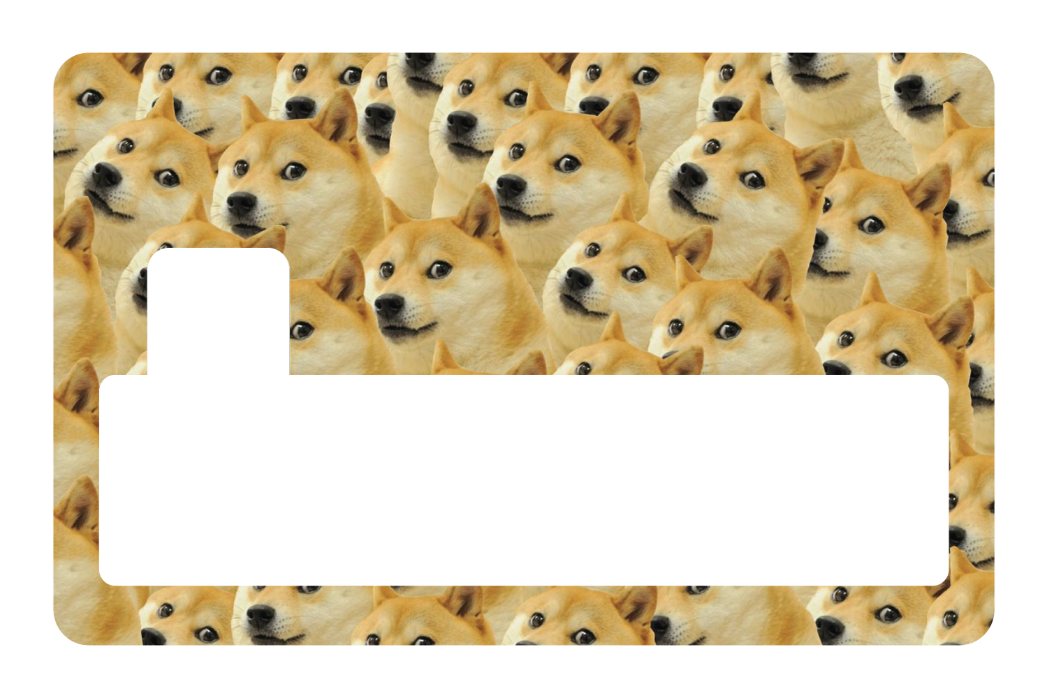 Doge