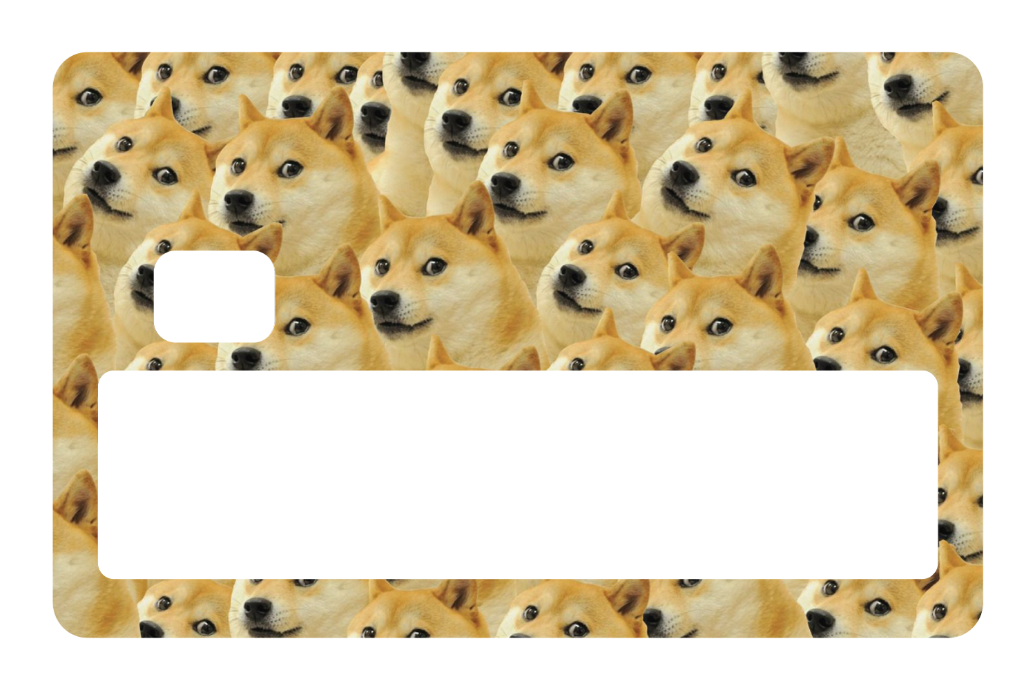 Doge