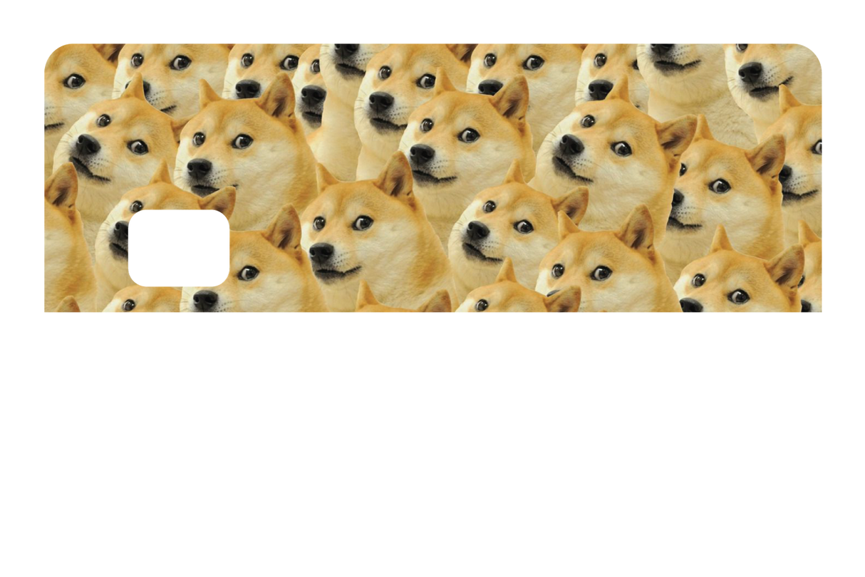 Doge