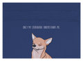 Only my Chihuahua understands me