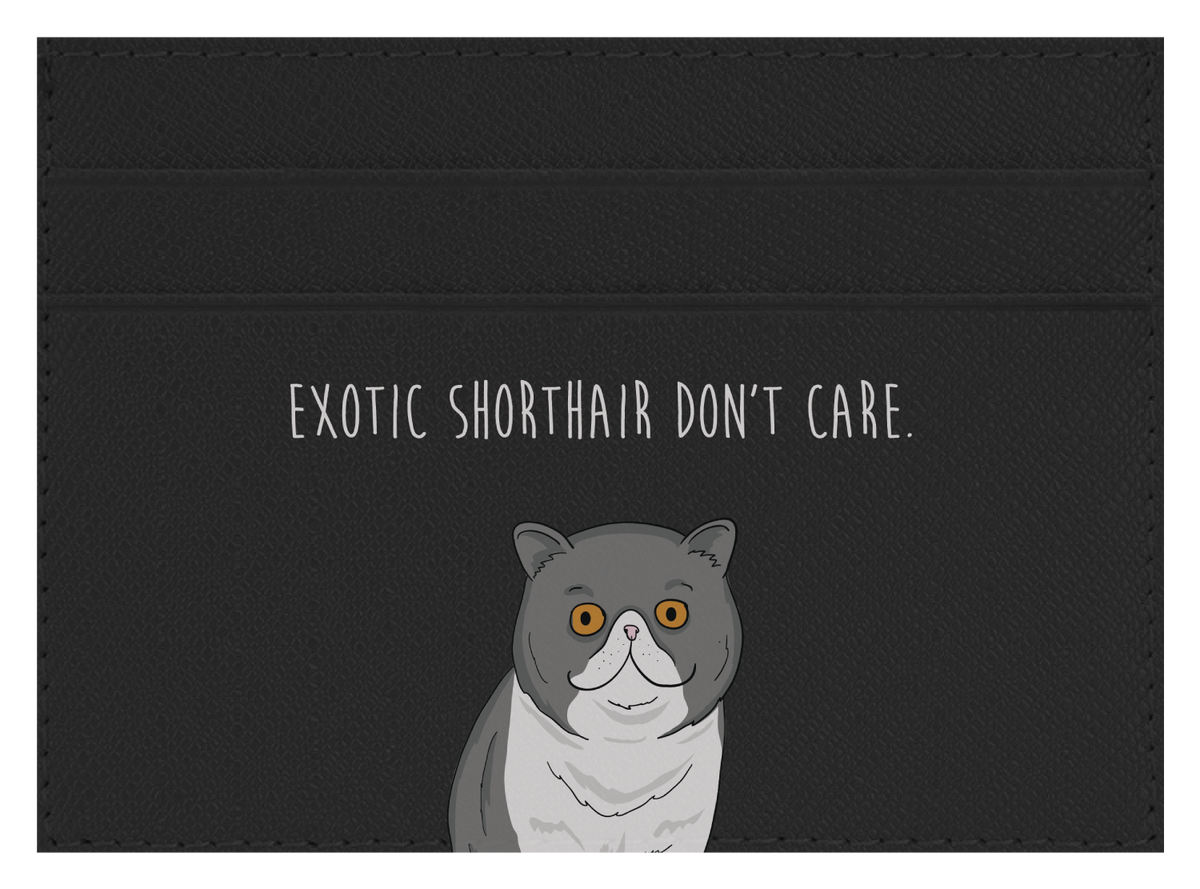 Exotic Shorthair don't care